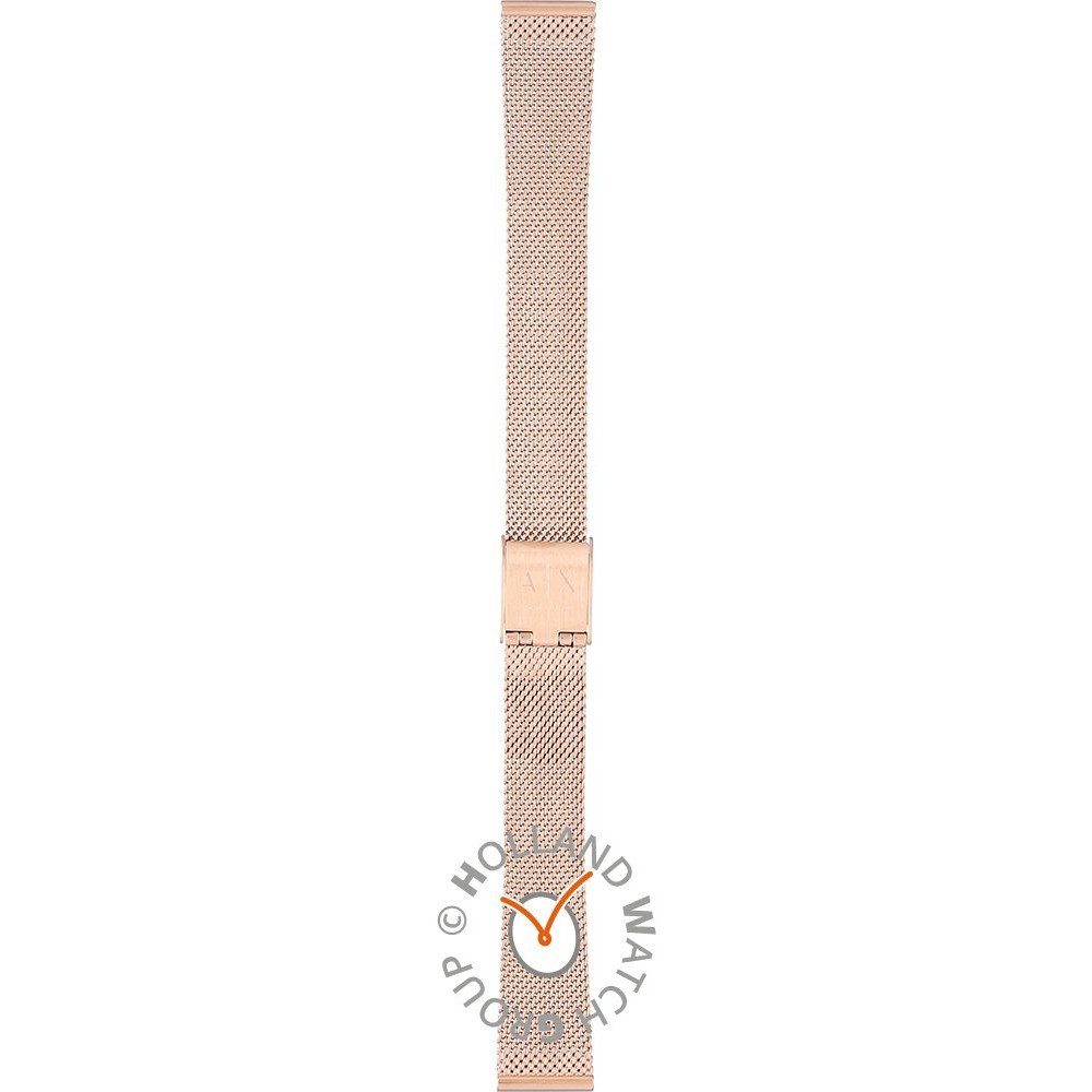 Armani Exchange AAX5566 Strap