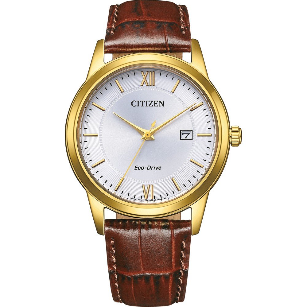 Citizen AW1782-11A Eco-Drive Watch