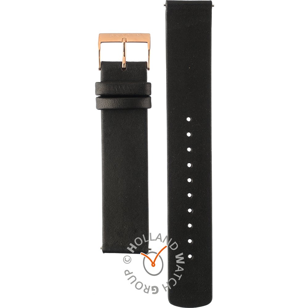 Skagen mens watch clearance bands